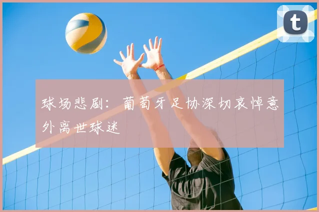 球场悲剧：葡萄牙足协深切哀悼意外离世球迷
