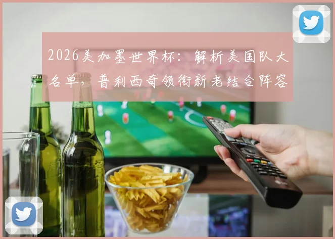2026美加墨世界杯：解析美国队大名单，普利西奇领衔新老结合阵容