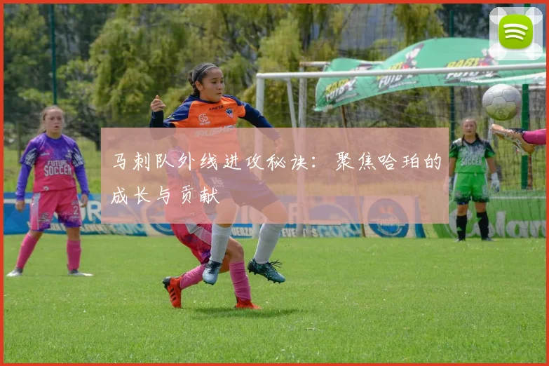 马刺队外线进攻秘诀:聚焦哈珀的成长与贡献
